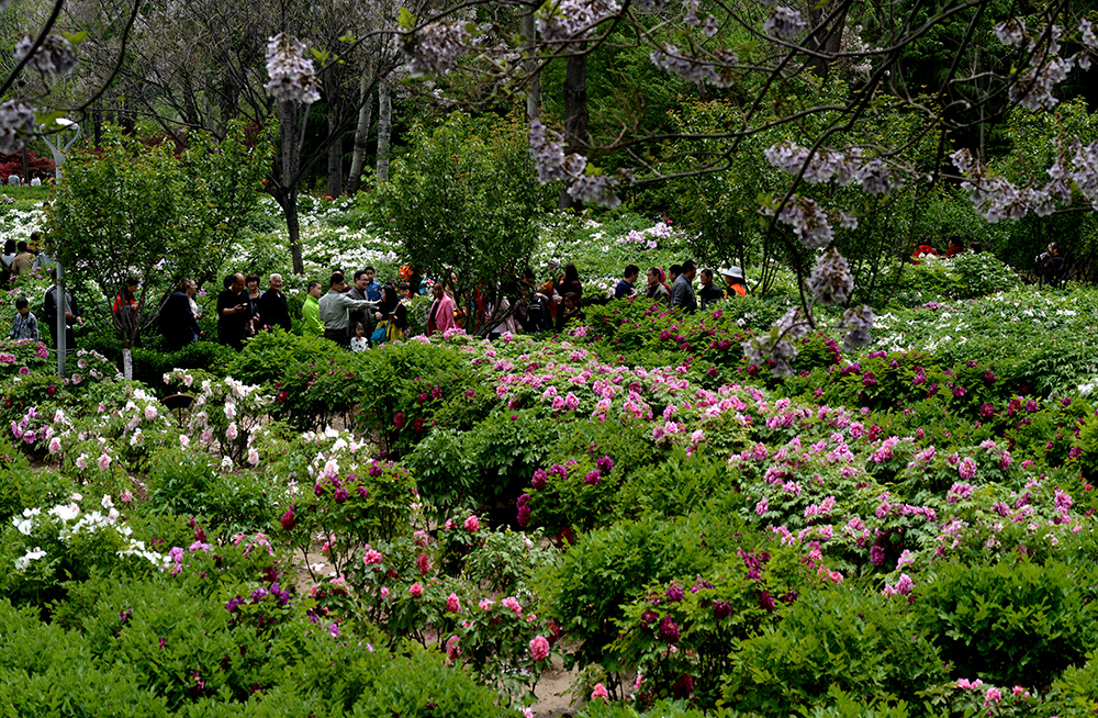 DSC_6263.JPG