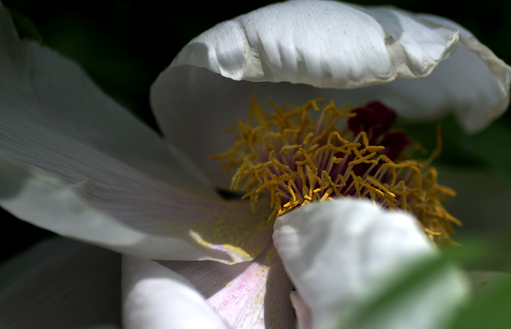 DSC_6272.JPG