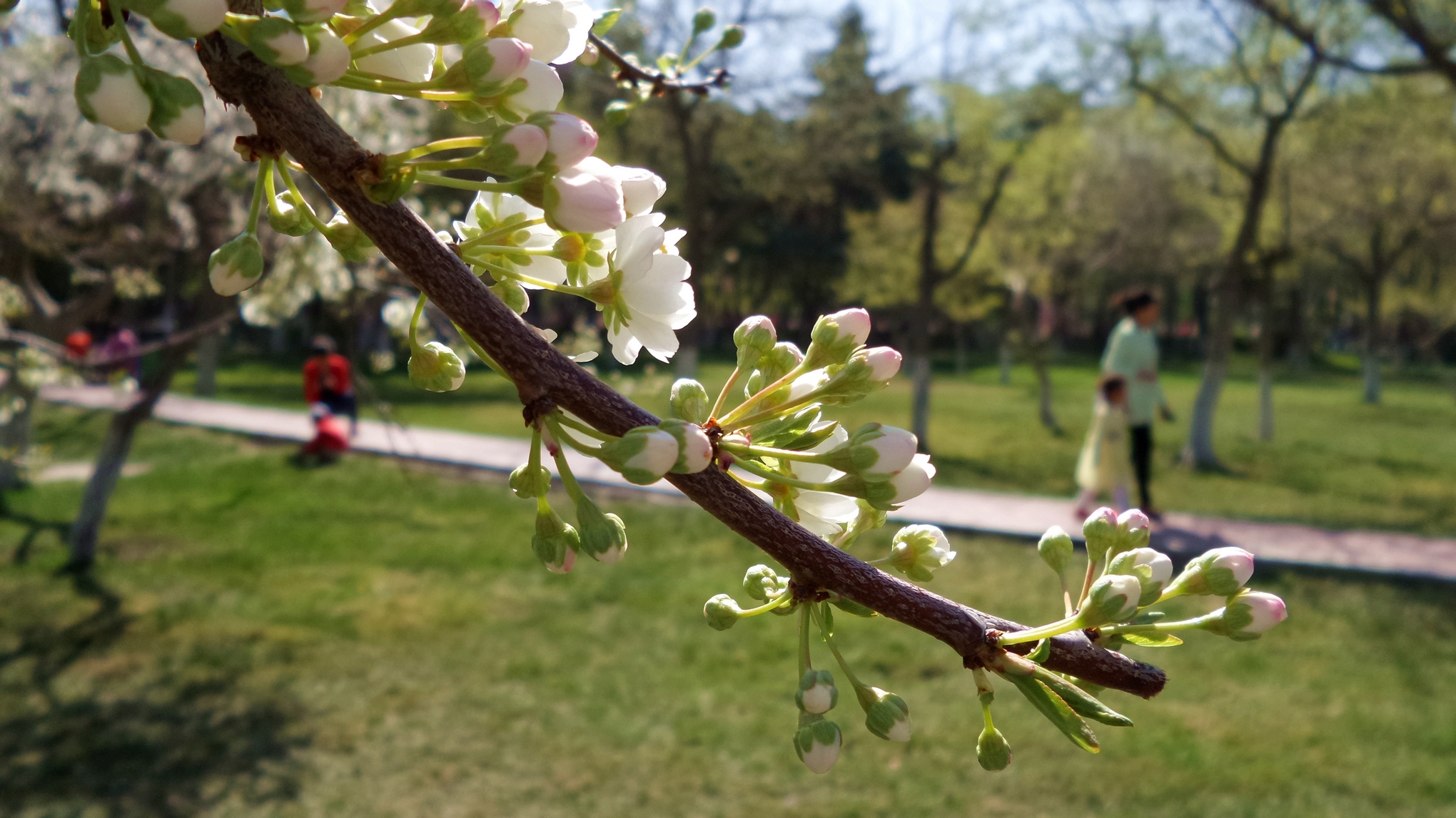 nEO_IMG_20160417_113954.jpg