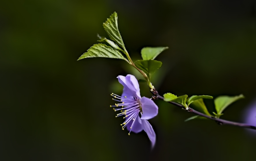 _DSC3790.jpg