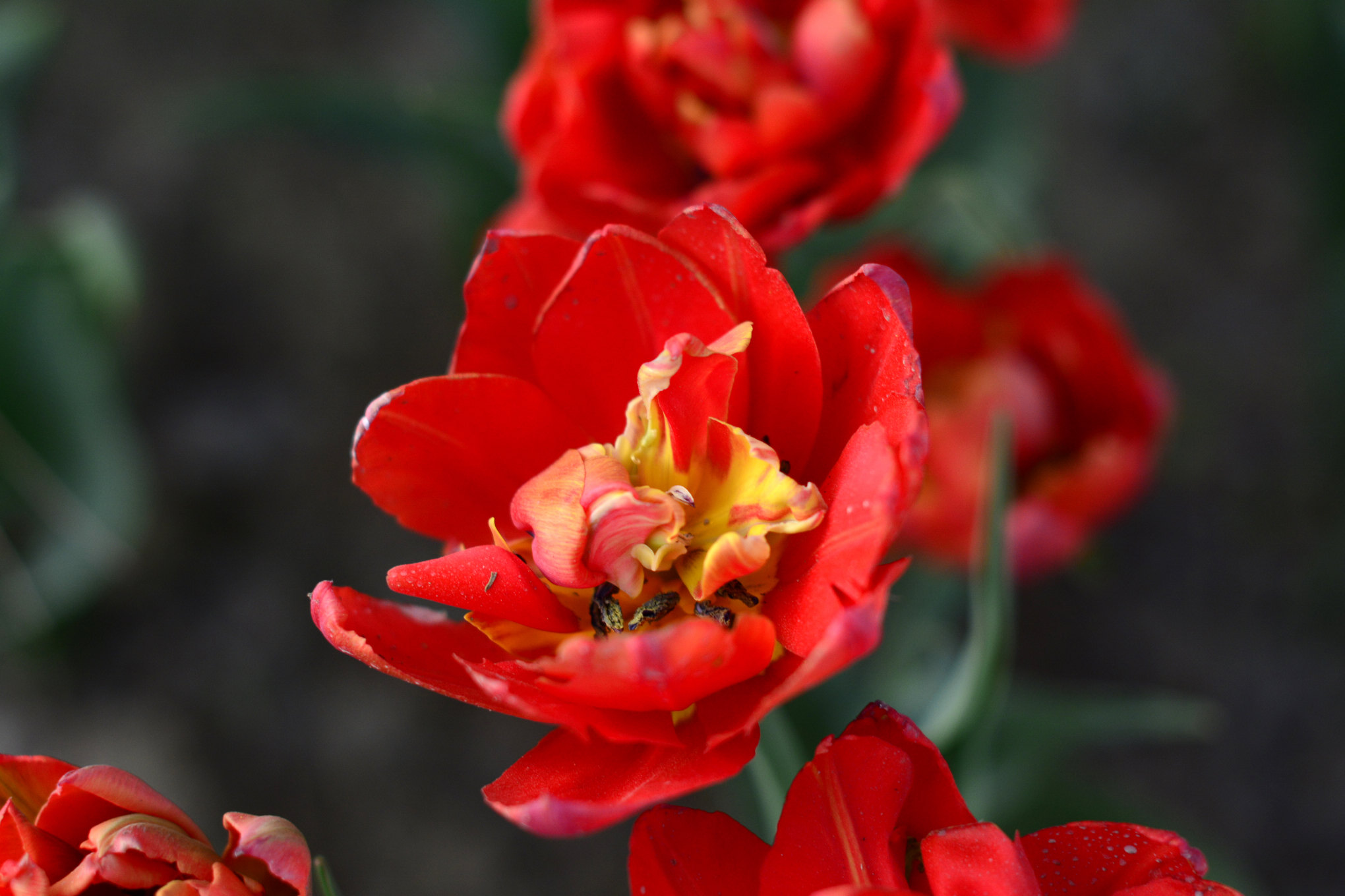nEO_IMG__DSC1200.jpg