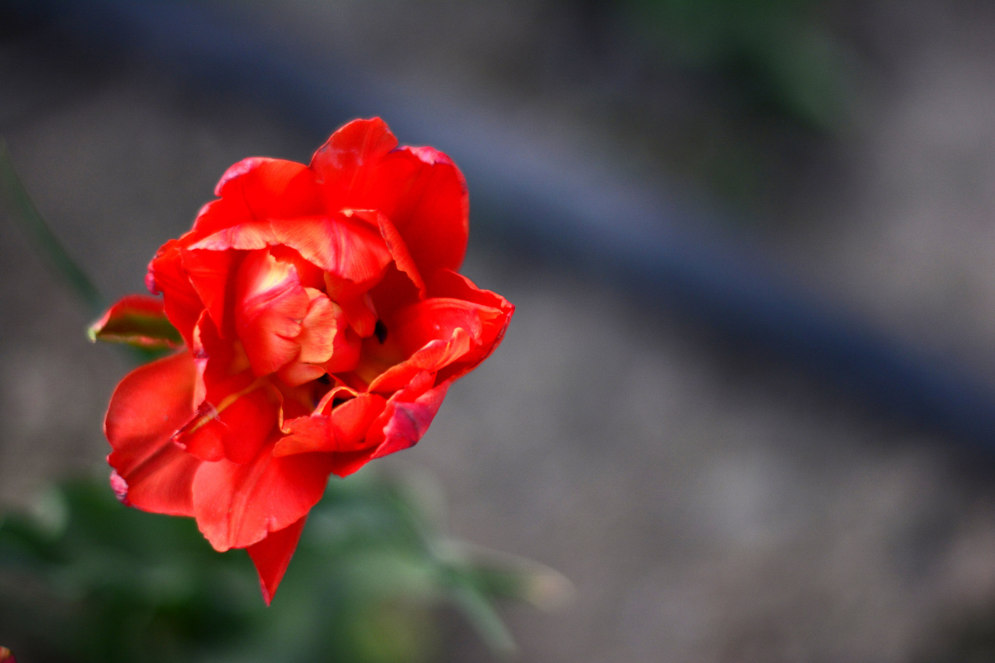 nEO_IMG__DSC1193.jpg