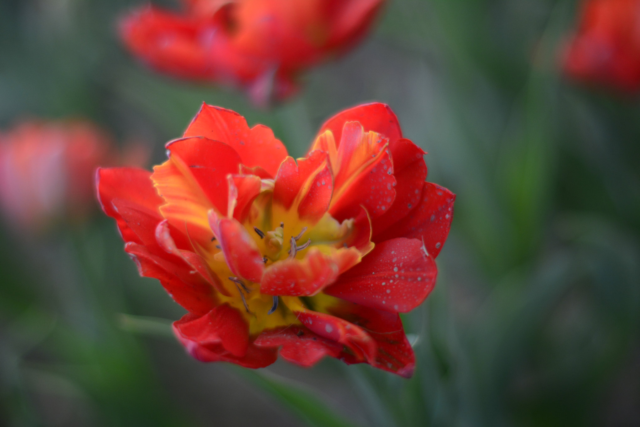 nEO_IMG__DSC1188.jpg