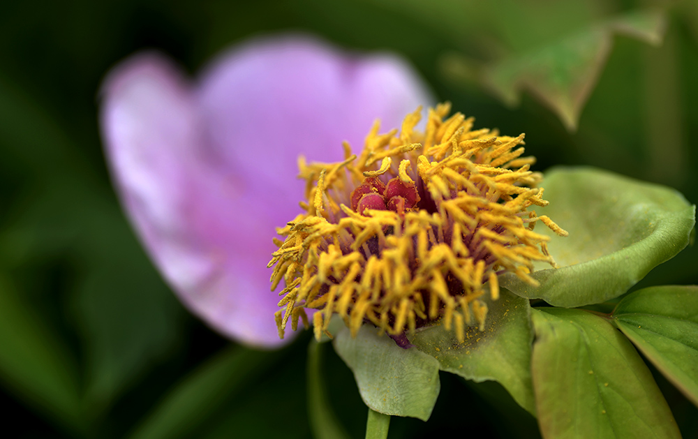 DSC_6279.JPG