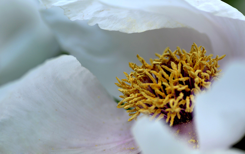 DSC_6277.JPG