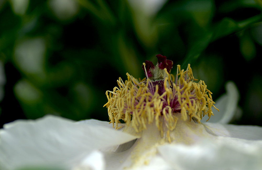 DSC_6274.JPG