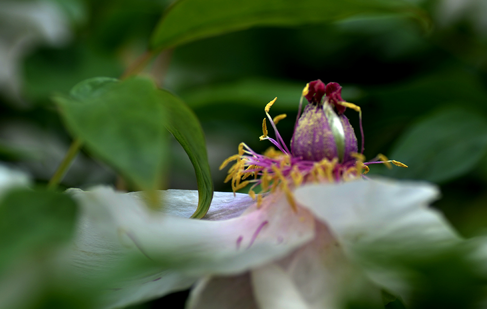 DSC_6273.JPG
