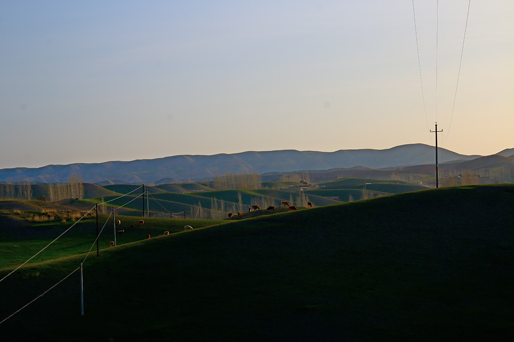 IMG_2724.jpg
