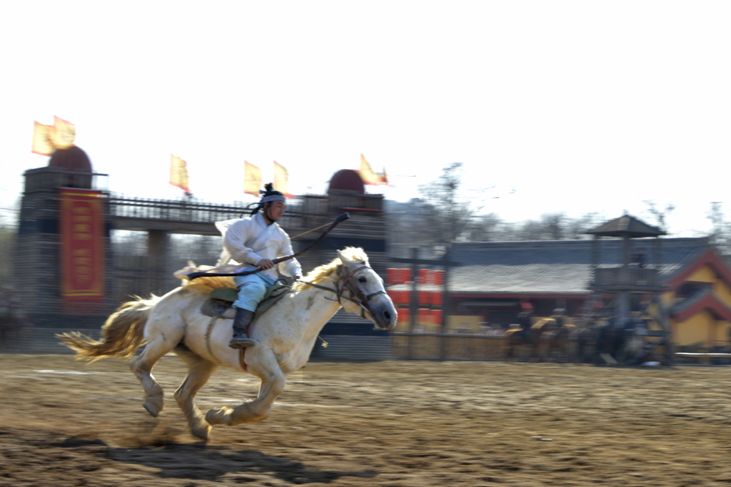 _DSC3030-.jpg