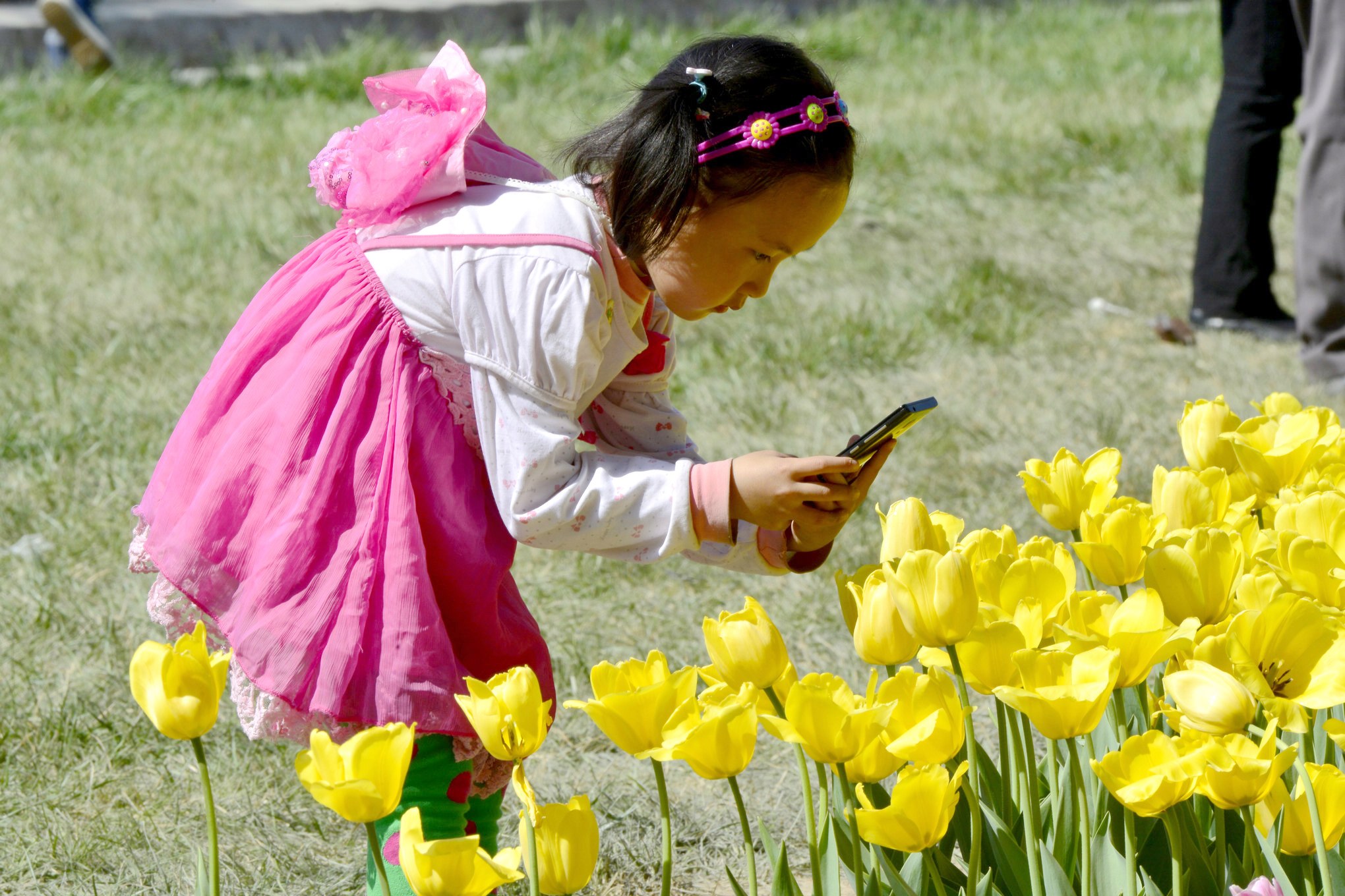 nEO_IMG__DSC8086.jpg
