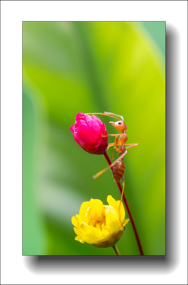 7Q3A6327-2.jpg