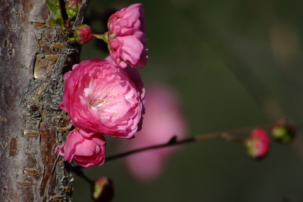 IMG_8855.jpg