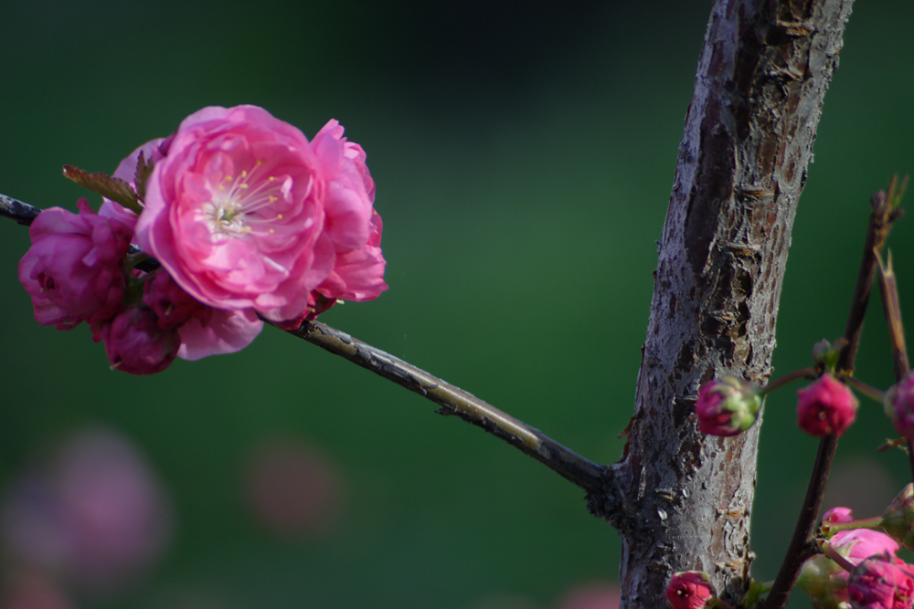 IMG_8863.jpg