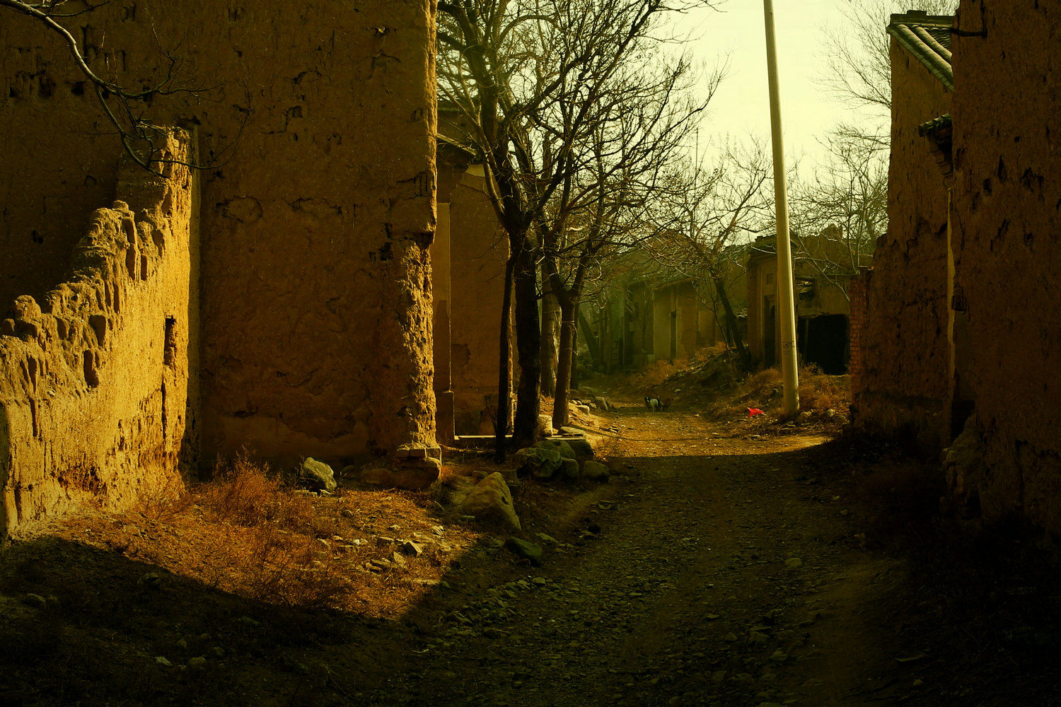 DI9A4038.jpg