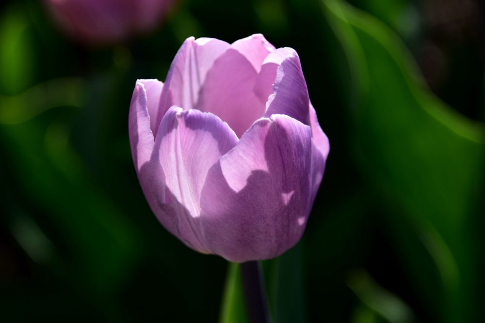 DSC_5590__.jpg