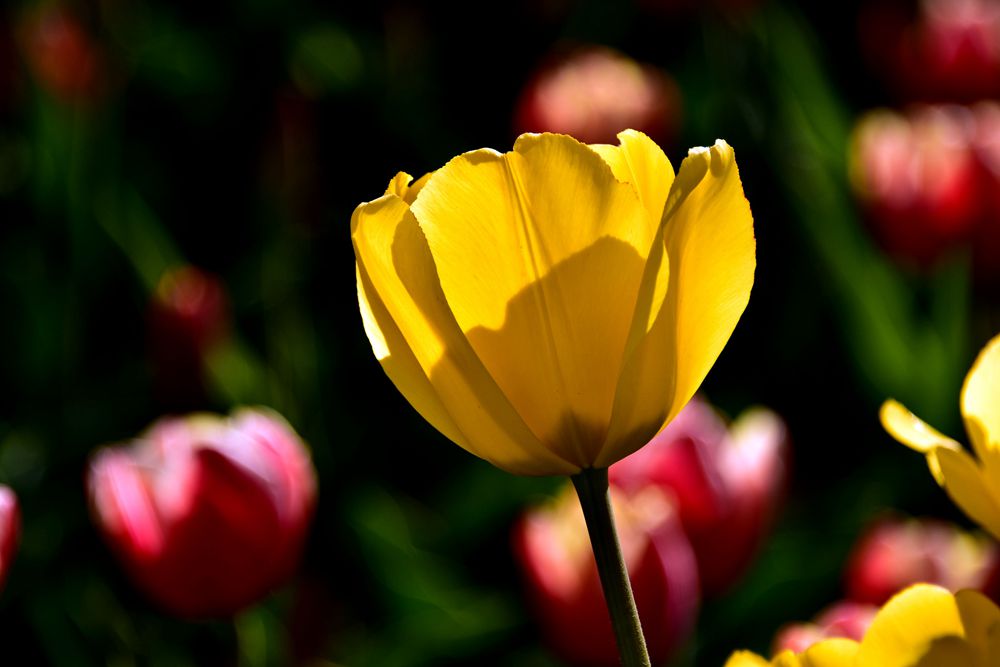 DSC_5564__.jpg