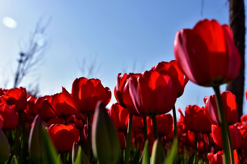 DSC_5613__.jpg