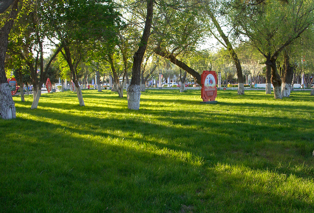 CIMG2166.jpg