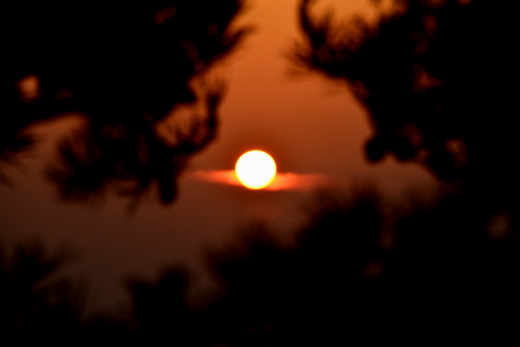 _DSC2683-.jpg