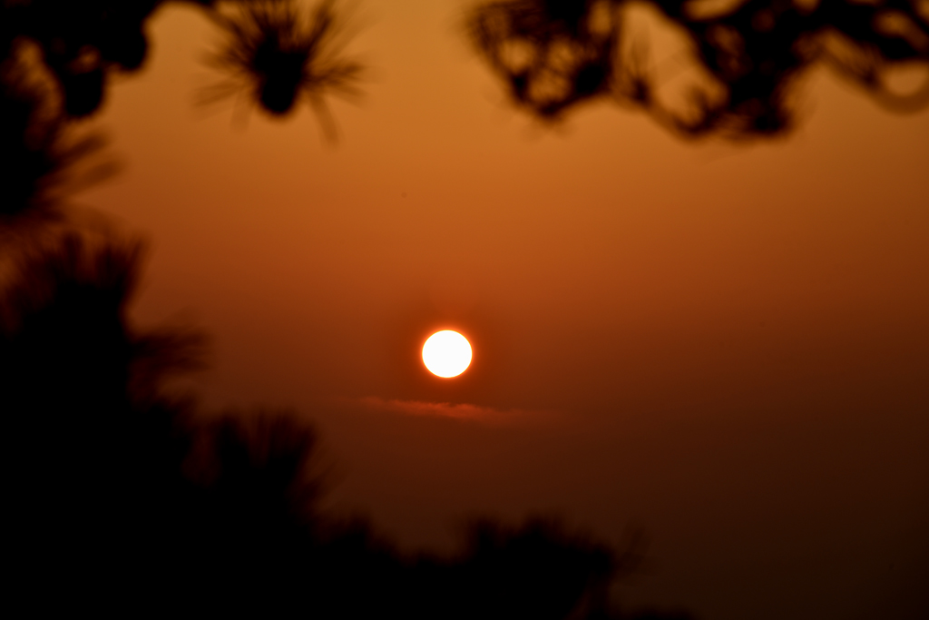 _DSC2697-.jpg