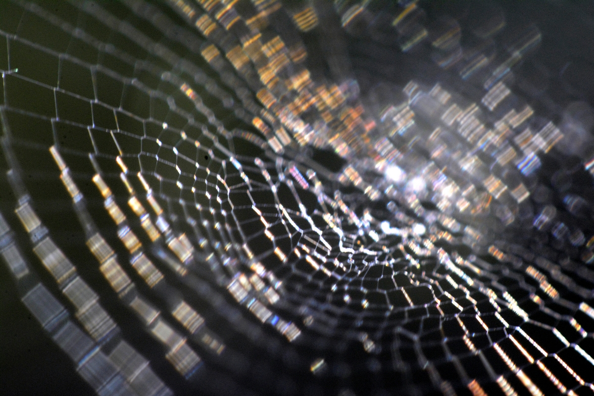 nEO_IMG__DSC1492.jpg