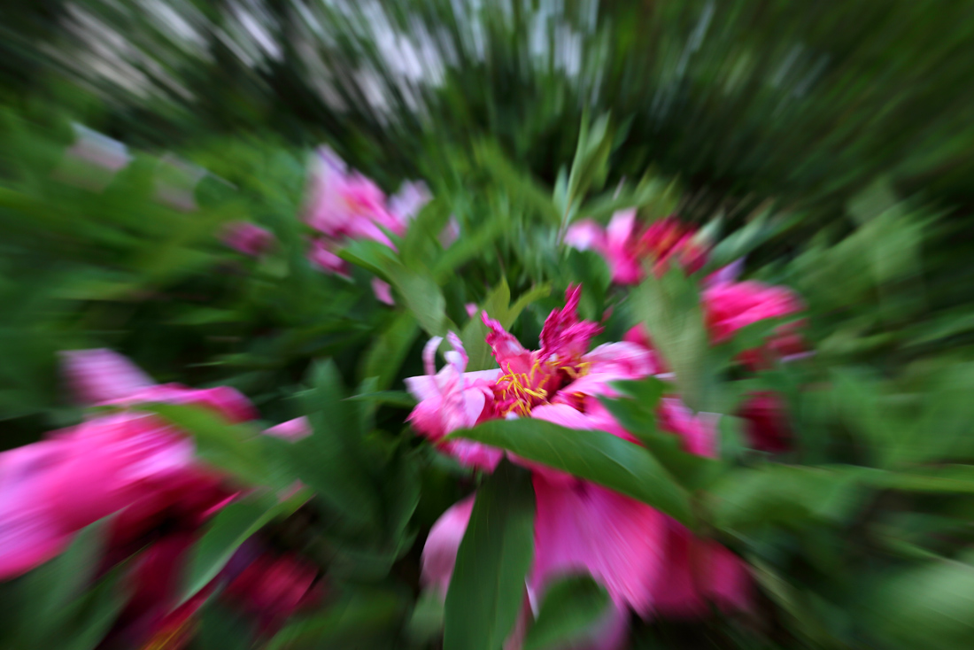 7U2A6738.JPG