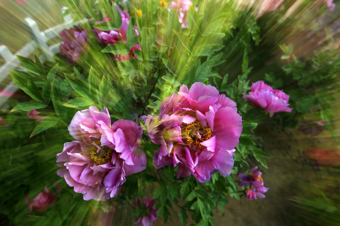 7U2A6776.JPG