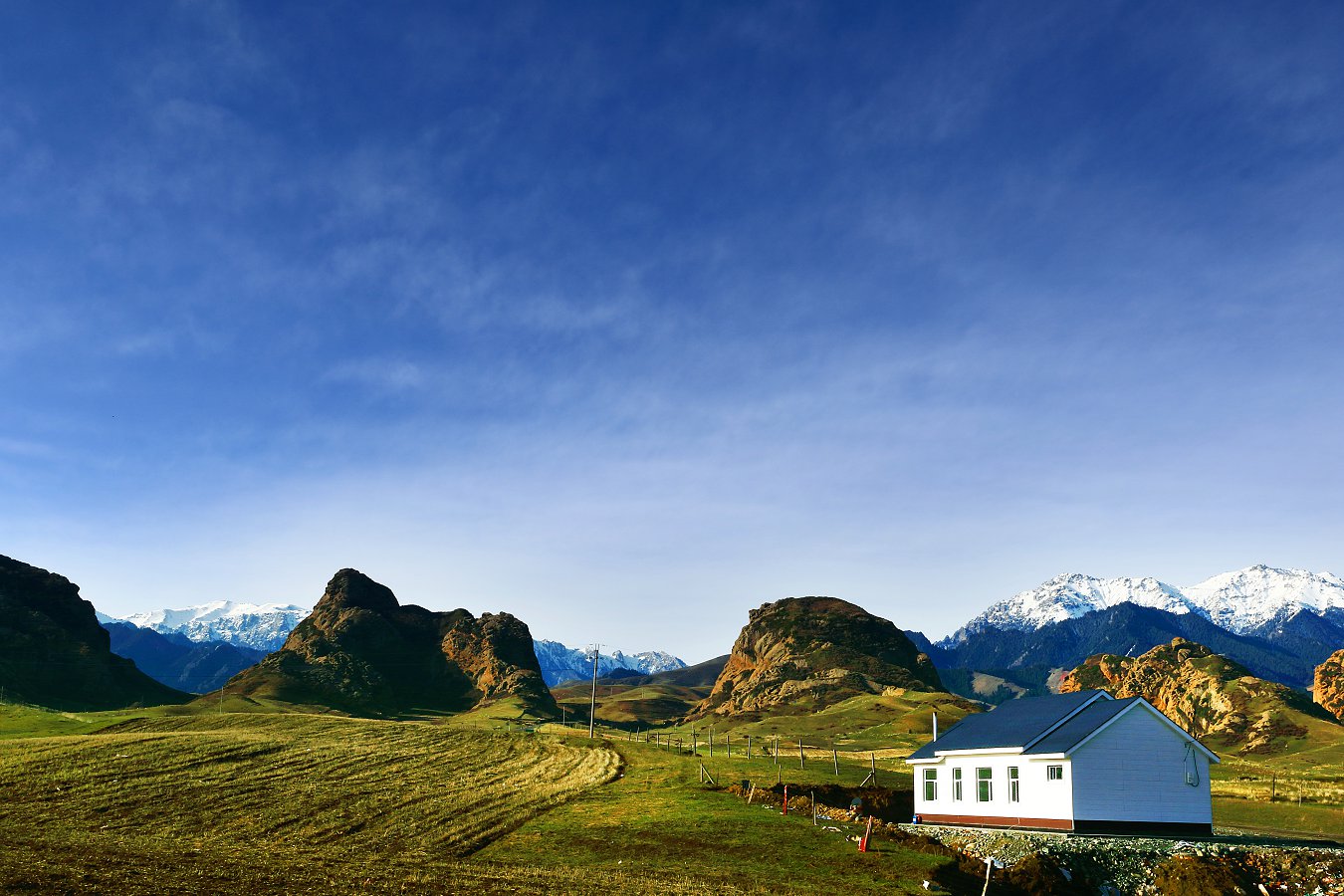 D30978.jpg