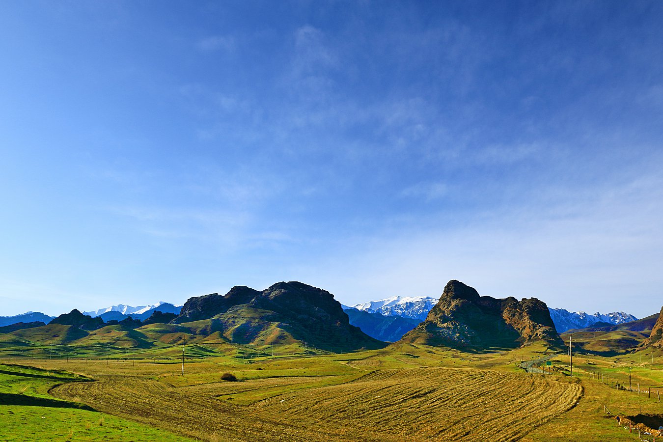 D30985.jpg