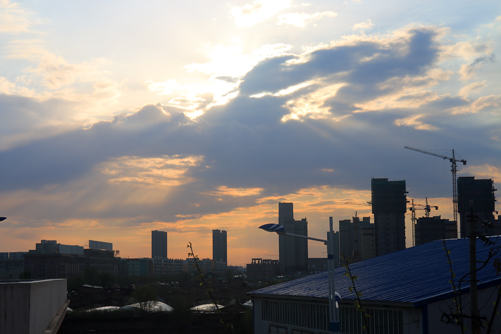 IMG_2800.jpg