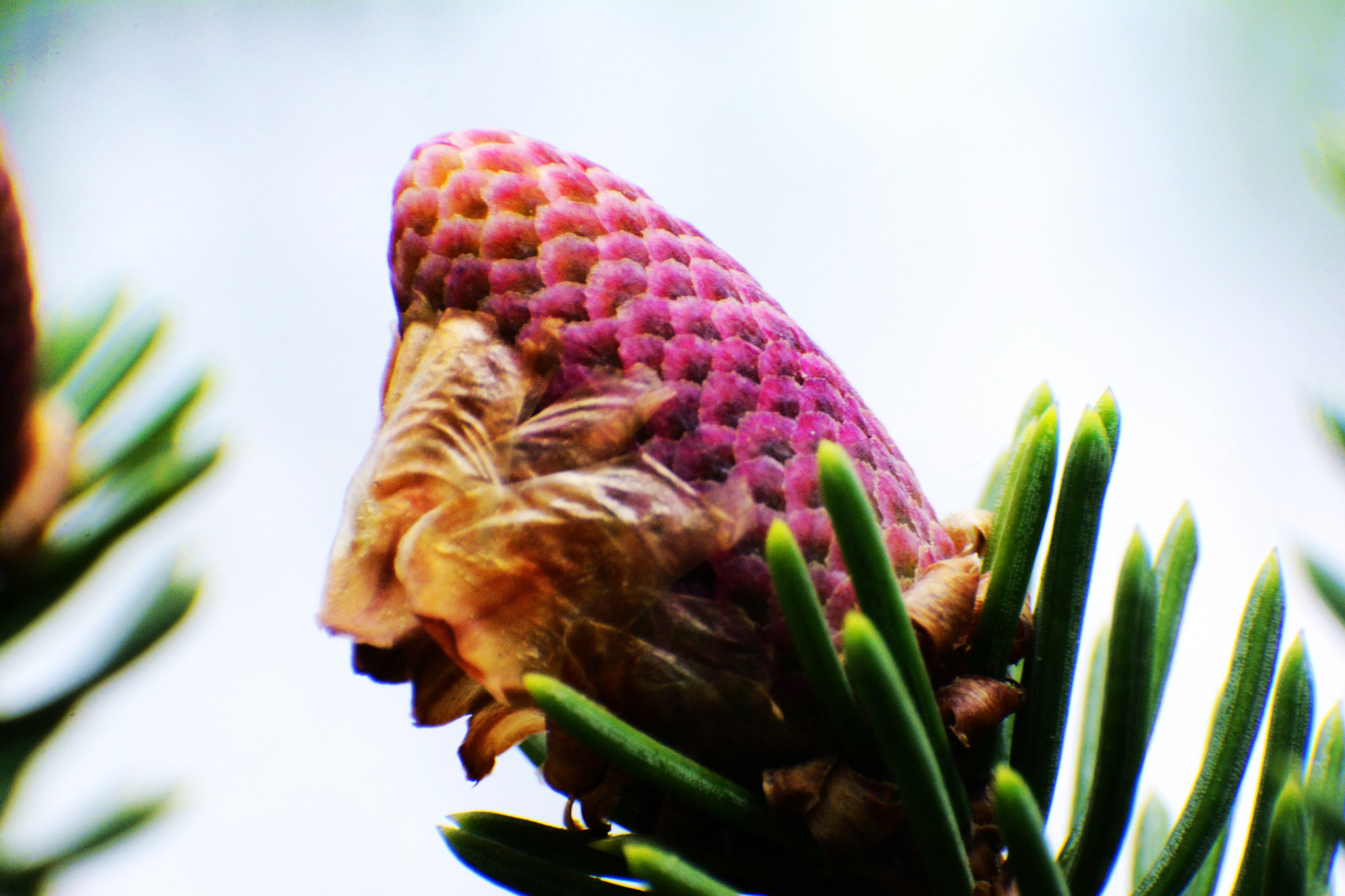 nEO_IMG__DSC1515.jpg