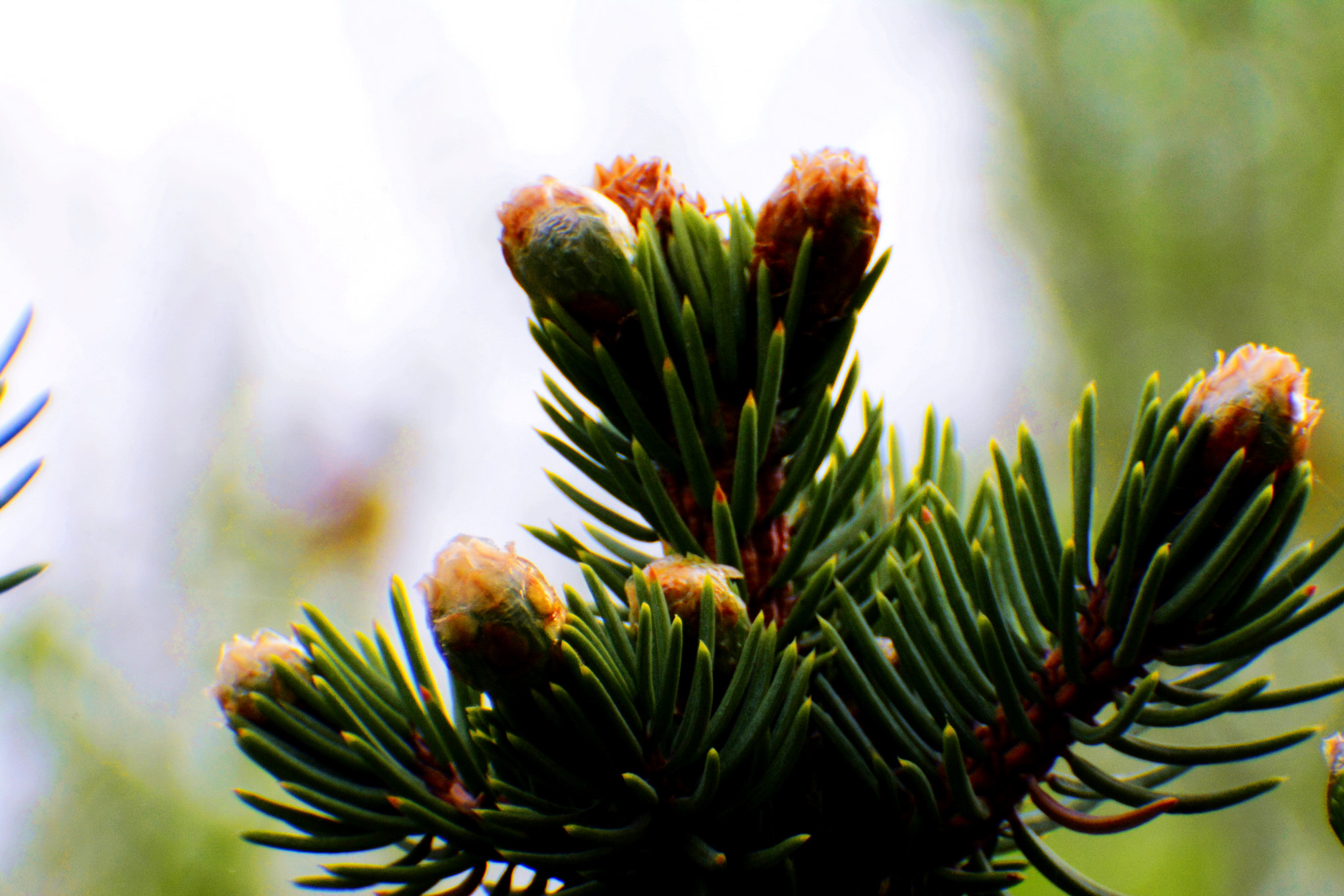 nEO_IMG__DSC1507.jpg