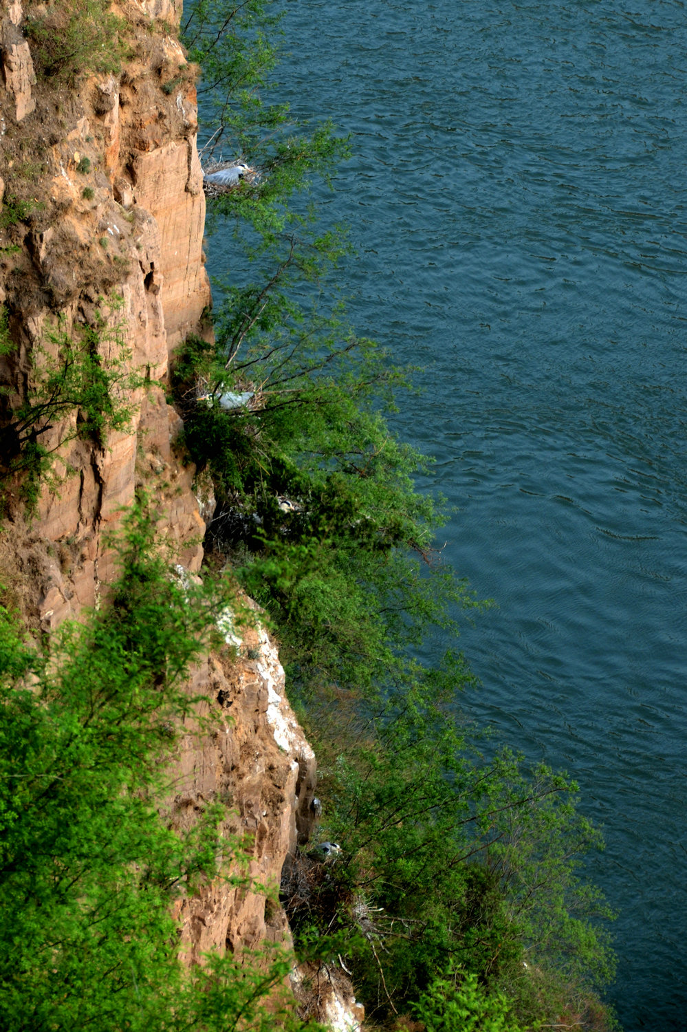 DSC_7621.jpg