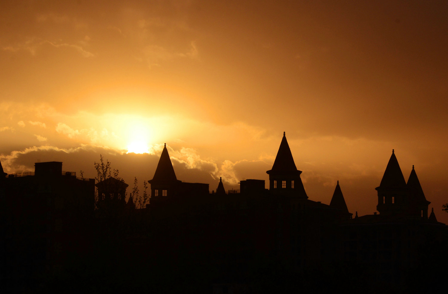 DSC_7716.jpg