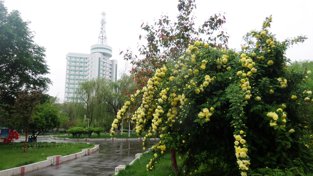 nEO_IMG_20160503_123955.jpg
