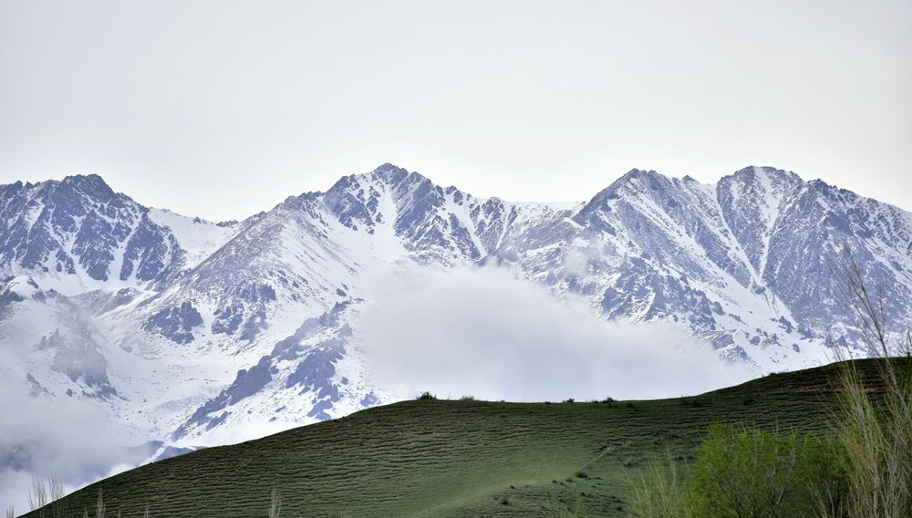 DSC_5047_.jpg