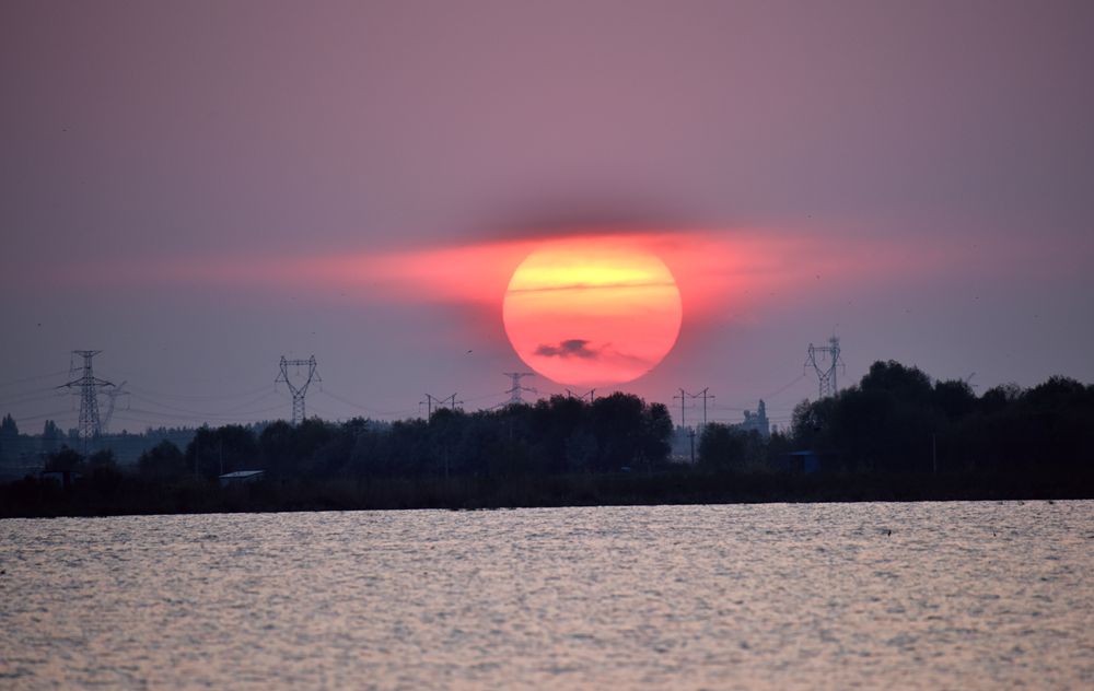 DSC_7200__.jpg