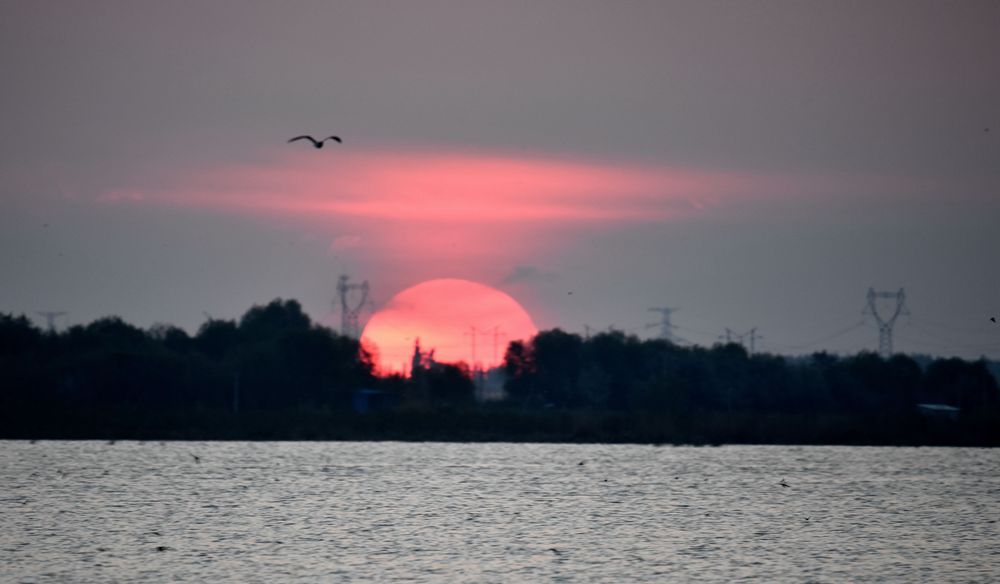 DSC_7226__.jpg