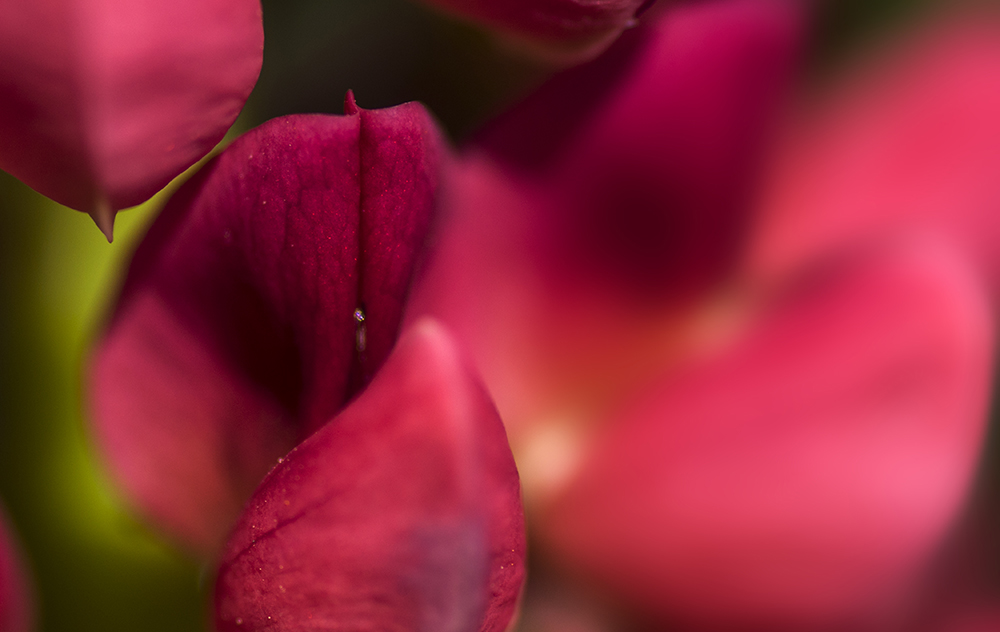 DSC_0093.jpg