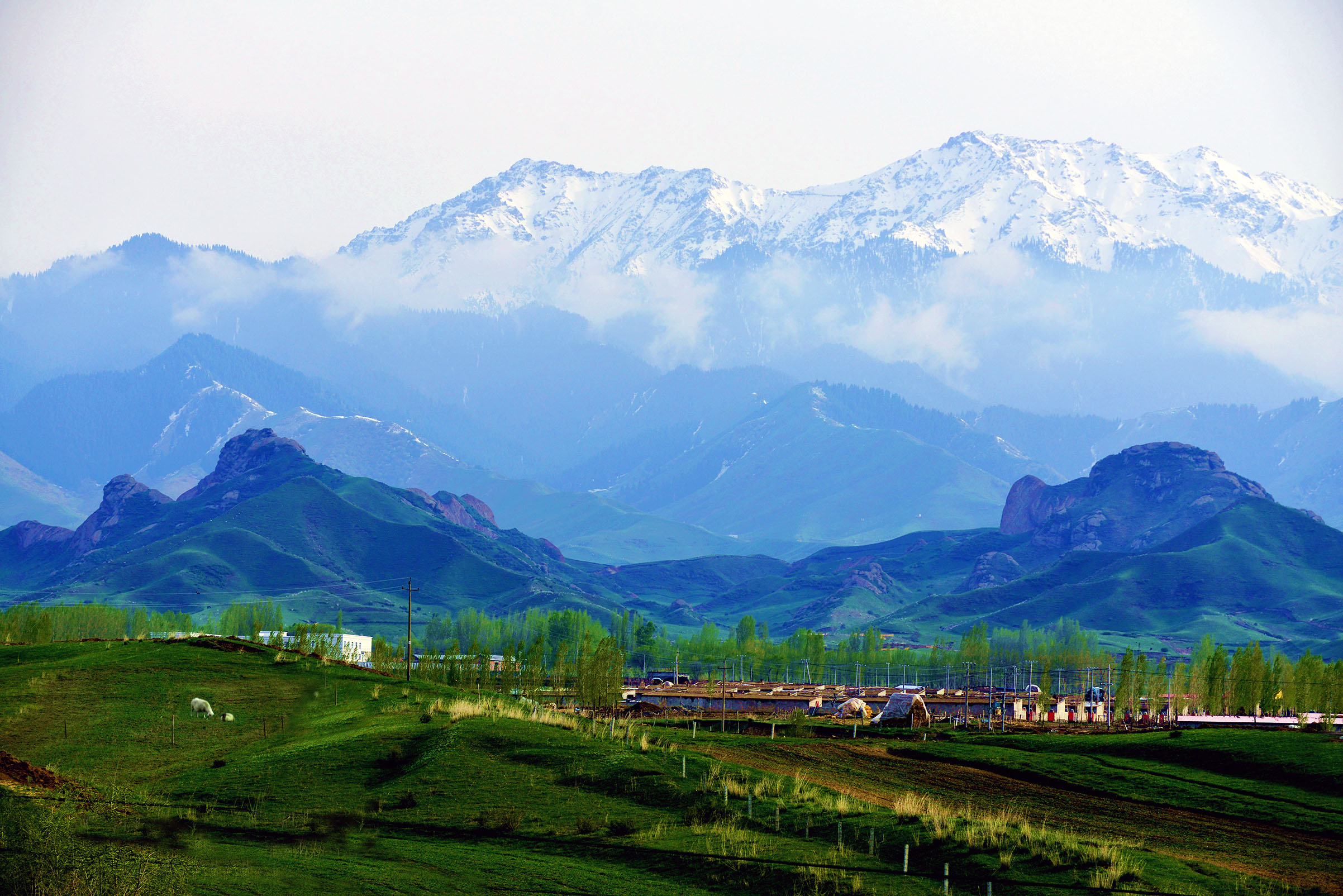 _DSC9090.jpg