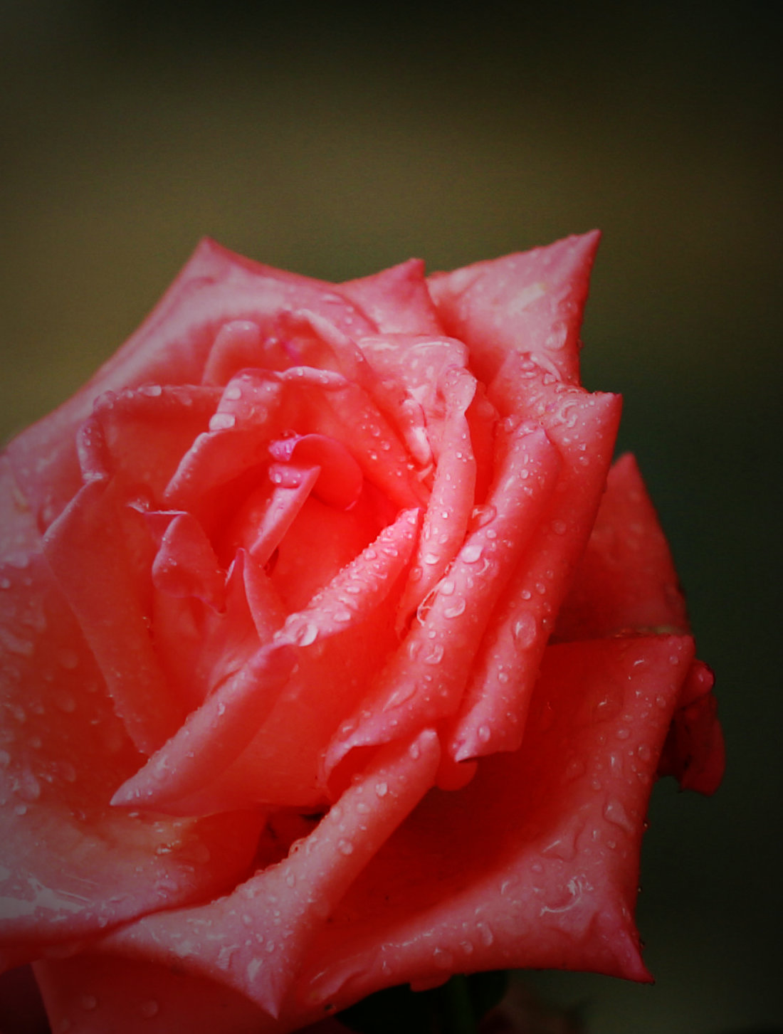 DI9A6215.jpg