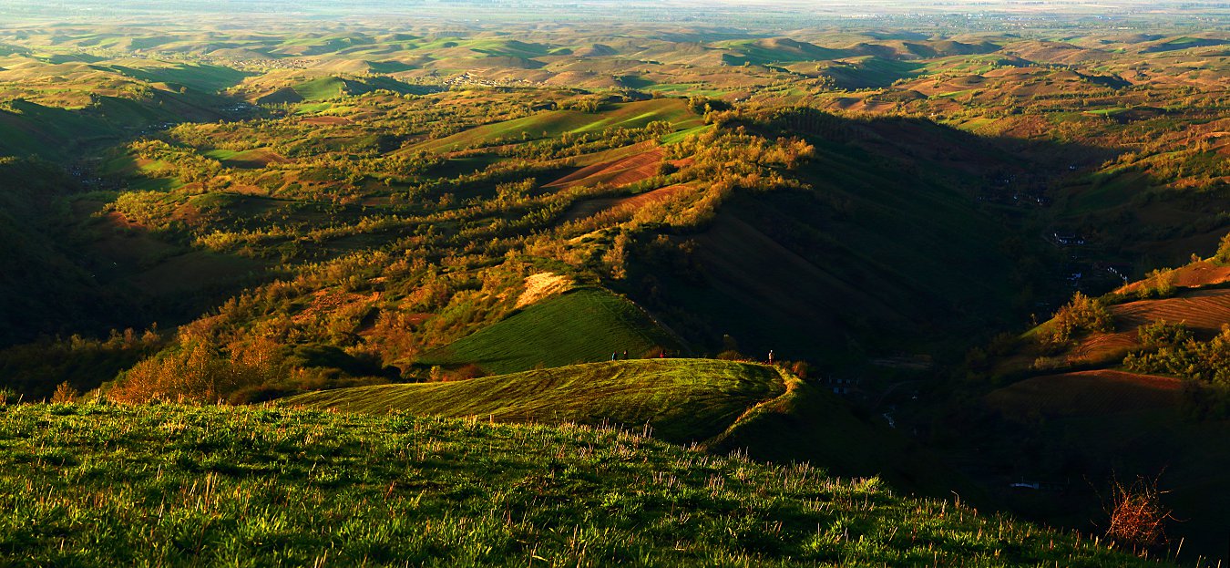 D34739 Panorama.jpg