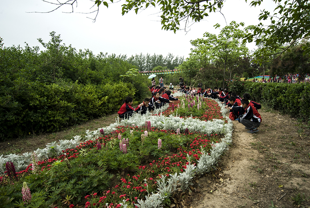 DSC_7936.jpg