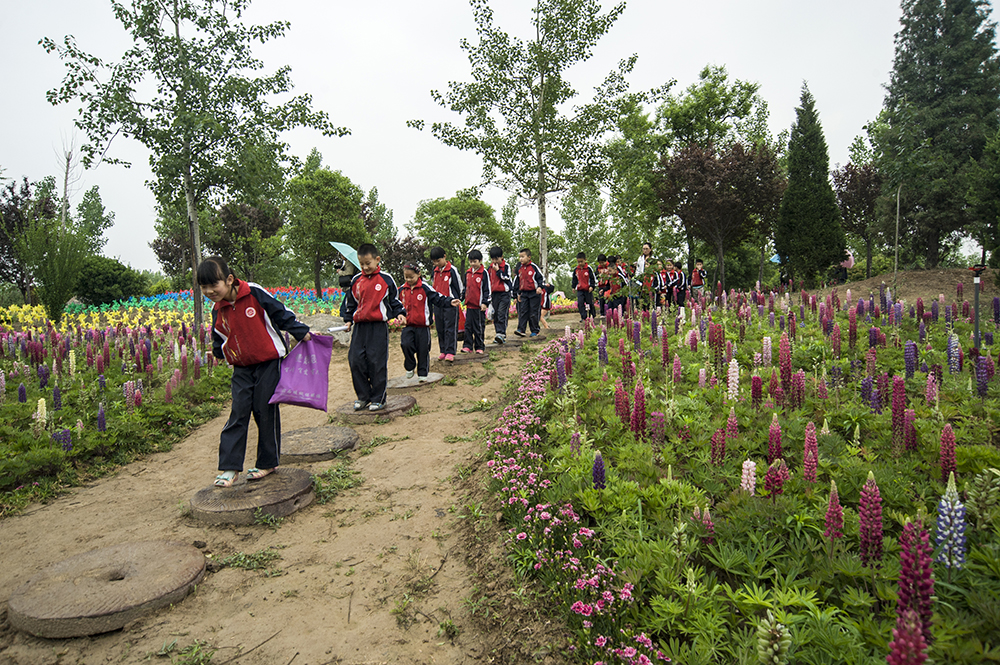 DSC_7948.jpg
