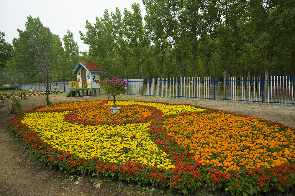 DSC_7962.jpg