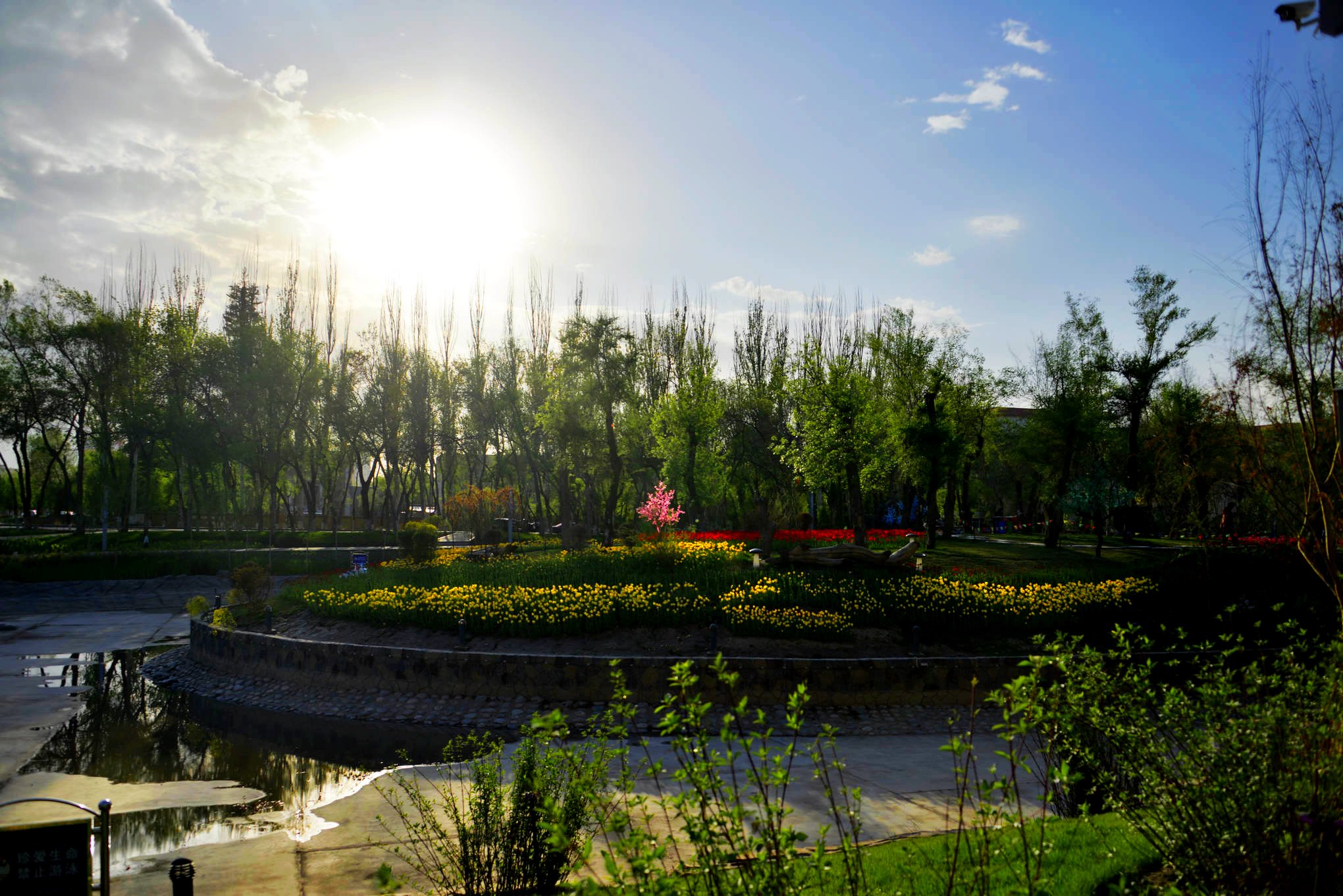 nEO_IMG__DSC8442.jpg