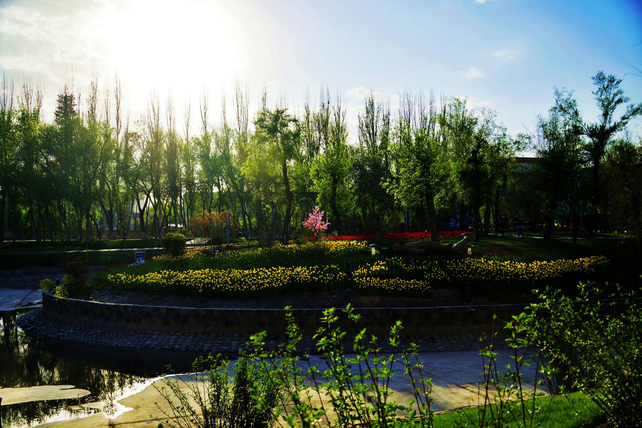 nEO_IMG__DSC8441.jpg