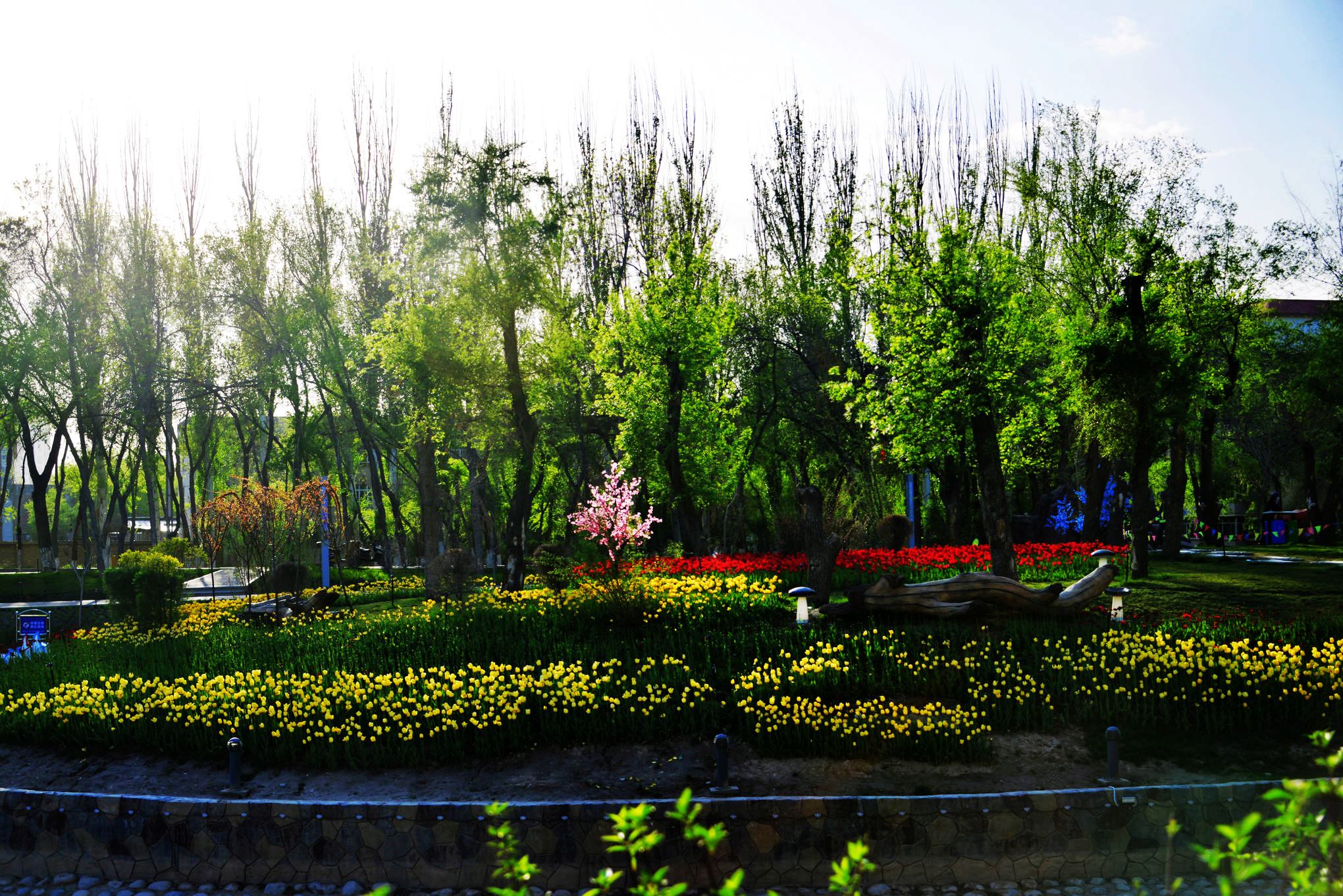 nEO_IMG__DSC8440.jpg