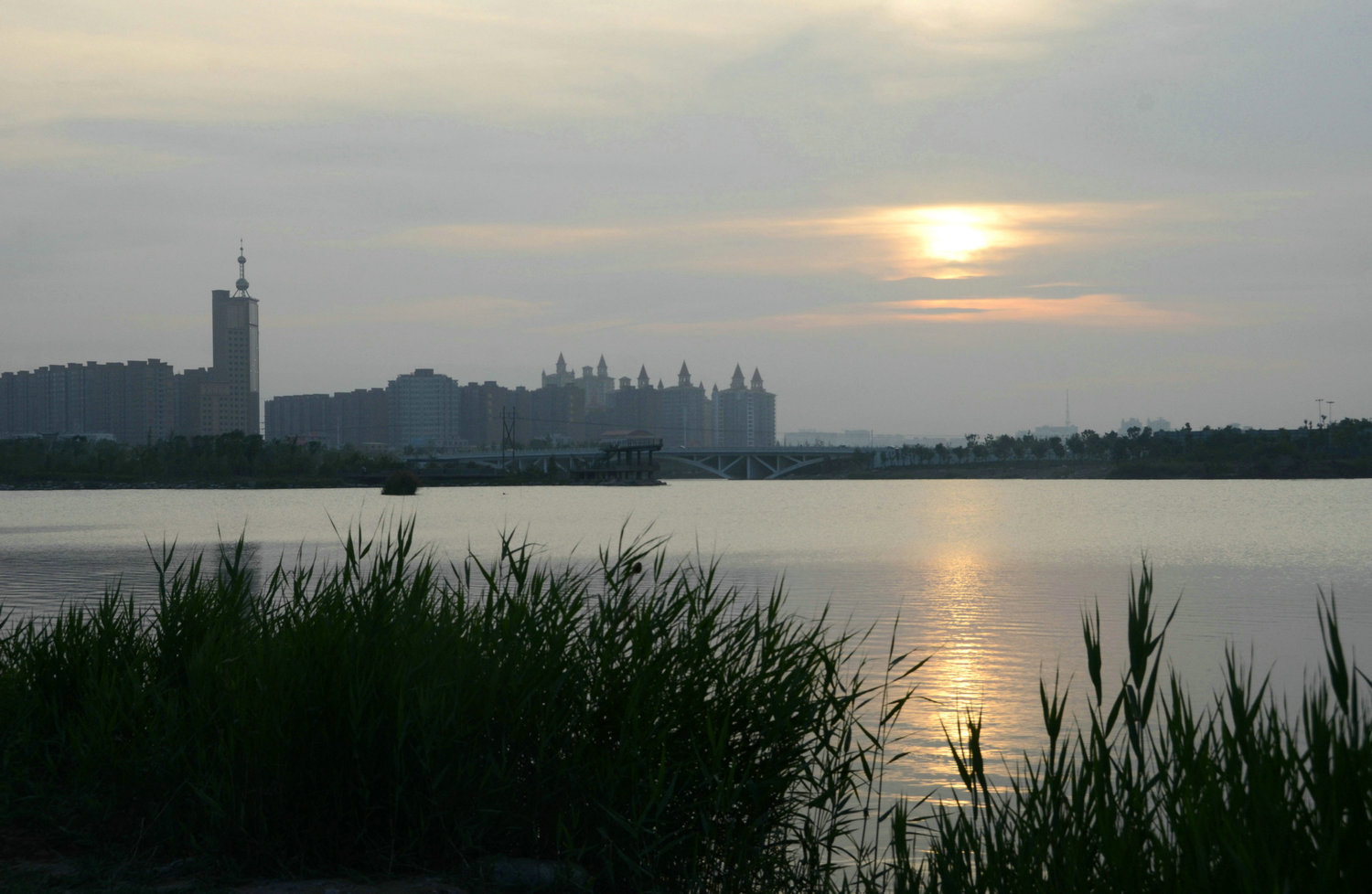 DSC_8337.jpg