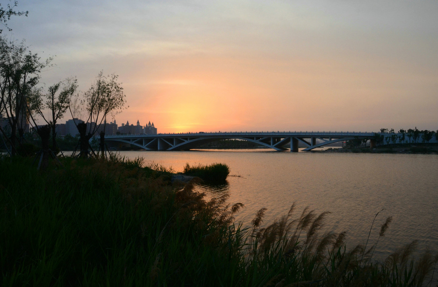 DSC_8365.jpg